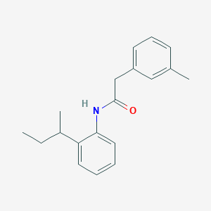 molecular formula C19H23NO B308710 N-(2-sec-butylphenyl)-2-(3-methylphenyl)acetamide 