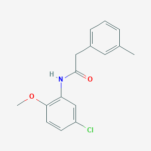 molecular formula C16H16ClNO2 B308737 N-(5-chloro-2-methoxyphenyl)-2-(3-methylphenyl)acetamide 