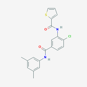 molecular formula C20H17ClN2O2S B308788 N-[2-chloro-5-[(3,5-dimethylphenyl)carbamoyl]phenyl]thiophene-2-carboxamide 