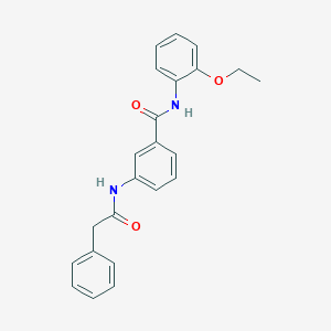 molecular formula C23H22N2O3 B309131 N-(2-ethoxyphenyl)-3-[(phenylacetyl)amino]benzamide 