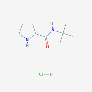 molecular formula C9H19ClN2O B3092825 N-(tert-Butyl)-2-pyrrolidinecarboxamide hydrochloride CAS No. 1236259-22-5