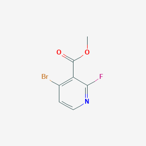 molecular formula C7H5BrFNO2 B3093234 Methyl 4-bromo-2-fluoronicotinate CAS No. 1240611-45-3