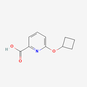 B3093857 6-Cyclobutoxypyridine-2-carboxylic acid CAS No. 1250298-25-9