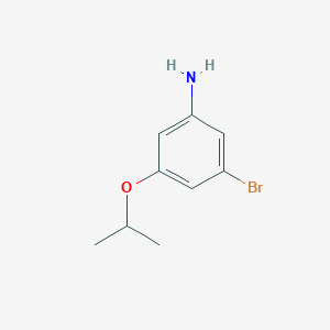 molecular formula C9H12BrNO B3093992 3-bromo-5-(propan-2-yloxy)aniline CAS No. 1251863-44-1
