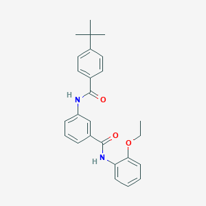 molecular formula C26H28N2O3 B309406 3-[(4-tert-butylbenzoyl)amino]-N-(2-ethoxyphenyl)benzamide 