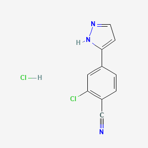 molecular formula C10H7Cl2N3 B3097021 2-Chloro-4-(1H-pyrazol-3-yl)benzonitrile hydrochloride CAS No. 1297537-39-3