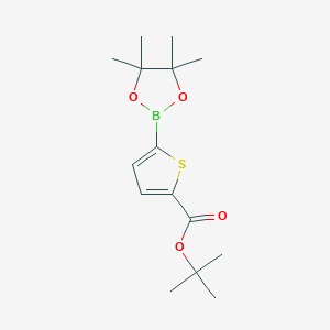 Tert-butyl 5-(4,4,5,5-tetramethyl-1,3,2-dioxaborolan-2-yl)thiophene-2-carboxylate