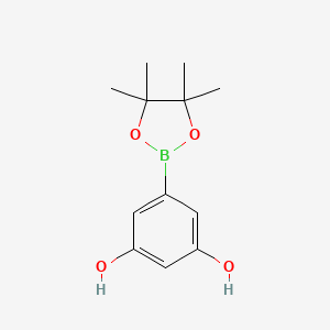 B3099192 1,3-Benzenediol, 5-(4,4,5,5-tetramethyl-1,3,2-dioxaborolan-2-yl)- CAS No. 1352134-72-5