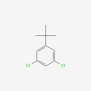 molecular formula C10H12Cl2 B3100480 1-(Tert-butyl)-3,5-dichlorobenzene CAS No. 1369899-62-6
