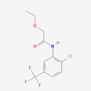 molecular formula C11H11ClF3NO2 B310368 N-[2-chloro-5-(trifluoromethyl)phenyl]-2-ethoxyacetamide 