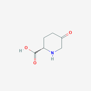molecular formula C6H9NO3 B3104216 (2S)-5-Oxo-piperidine-2-carboxylic acid CAS No. 146467-21-2