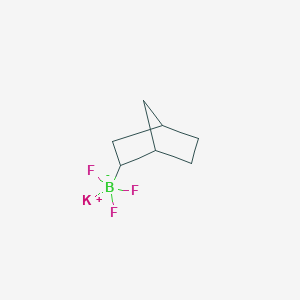 molecular formula C7H11BF3K B3105911 Potassium Bicyclo[2.2.1]heptan-2-yltrifluoroborate CAS No. 1557201-12-3