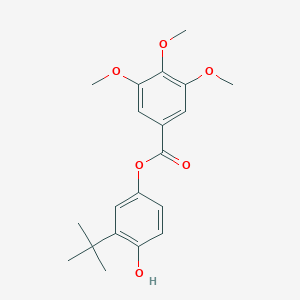 molecular formula C20H24O6 B310671 3-Tert-butyl-4-hydroxyphenyl3,4,5-trimethoxybenzoate 