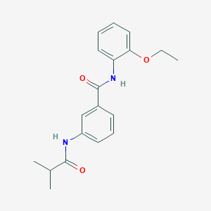 molecular formula C19H22N2O3 B310860 N-(2-ethoxyphenyl)-3-(isobutyrylamino)benzamide 