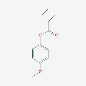 molecular formula C12H14O3 B310955 4-methoxyphenyl cyclobutanecarboxylate 