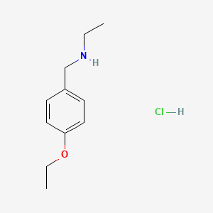 molecular formula C11H18ClNO B3109851 N-(4-Ethoxybenzyl)ethanamine hydrochloride CAS No. 17683-87-3