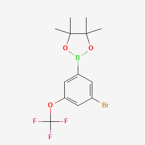 3-Bromo-5-(trifluoromethoxy)phenylboronic acid pinacol ester