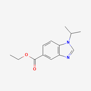 molecular formula C13H16N2O2 B3111192 Ethyl 1-isopropyl-1,3-benzodiazole-5-carboxylate CAS No. 1820736-57-9