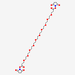 molecular formula C32H52N2O18 B3117254 Bis-PEG10-NHS ester CAS No. 2221949-02-4