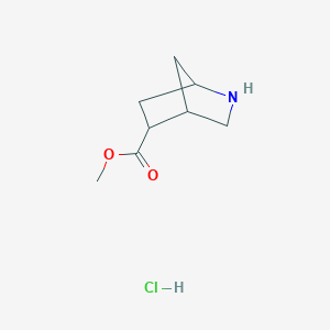 molecular formula C8H14ClNO2 B3117555 Methyl 2-azabicyclo[2.2.1]heptane-5-carboxylate hydrochloride CAS No. 2241501-10-8