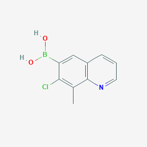 molecular formula C10H9BClNO2 B3118392 (7-Chloro-8-methylquinolin-6-yl)boronic acid CAS No. 2377605-68-8
