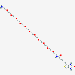 molecular formula C34H66N4O13S B3118617 Biotin-PEG-amine CAS No. 2407913-93-1
