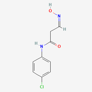 B3118680 N-(4-chlorophenyl)-3-(hydroxyimino)propanamide CAS No. 241132-61-6