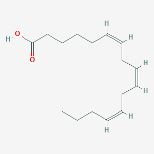 cis-6,9,12-Hexadecatrienoic acid