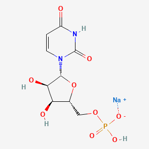 molecular formula C9H12N2NaO9P B3123662 Sodium ((2R,3S,4R,5R)-5-(2,4-dioxo-3,4-dihydropyrimidin-1(2H)-yl)-3,4-dihydroxytetrahydrofuran-2-yl)methyl hydrogenphosphate 