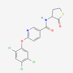 molecular formula C16H11Cl3N2O3S B3125102 N-(2-oxotetrahydro-3-thiophenyl)-6-(2,4,5-trichlorophenoxy)nicotinamide CAS No. 321521-94-2