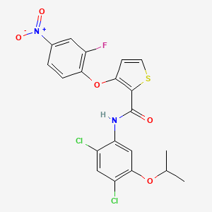 molecular formula C20H15Cl2FN2O5S B3129138 N-(2,4-dichloro-5-isopropoxyphenyl)-3-(2-fluoro-4-nitrophenoxy)-2-thiophenecarboxamide CAS No. 339015-57-5