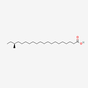 molecular formula C21H42O2 B3130089 18(S)-Methyleicosanoic acid CAS No. 340257-50-3