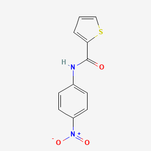 N-(4-nitrophenyl)thiophene-2-carboxamide