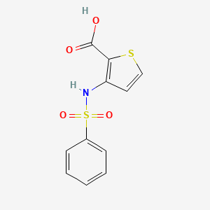 3-[(Phenylsulfonyl)amino]thiophene-2-carboxylic acid