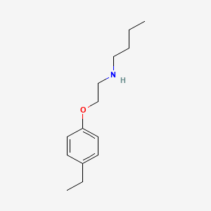 molecular formula C14H23NO B3136588 N-[2-(4-Ethylphenoxy)ethyl]-1-butanamine CAS No. 420101-31-1