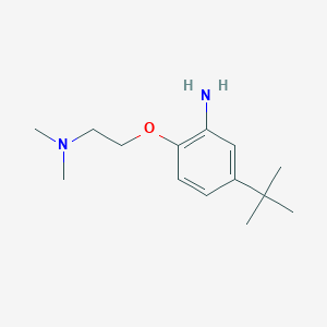 B3138359 {2-[4-(Tert-butyl)-2-aminophenoxy]-ethyl}dimethylamine CAS No. 453562-51-1