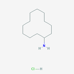 molecular formula C12H26ClN B3144664 Cyclododecylamine hydrochloride CAS No. 55671-95-9