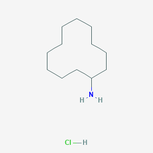 molecular formula C12H26ClN B3144664 Cyclododecanamine;hydrochloride CAS No. 55671-95-9