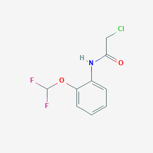 2-Chloro-N-(2-difluoromethoxy-phenyl)-acetamide
