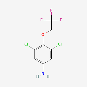 molecular formula C8H6Cl2F3NO B3145715 3,5-Dichloro-4-(2,2,2-trifluoroethoxy)aniline CAS No. 57946-62-0