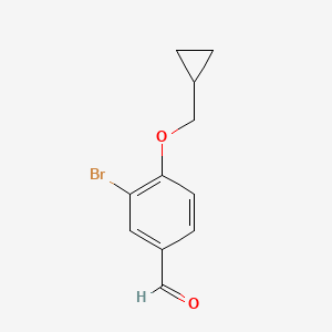molecular formula C11H11BrO2 B3147684 3-溴-4-(环丙基甲氧基)苯甲醛 CAS No. 628711-48-8