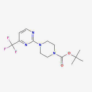molecular formula C14H19F3N4O2 B3149223 Tert-butyl 4-[4-(trifluoromethyl)pyrimidin-2-YL]piperazine-1-carboxylate CAS No. 668484-15-9
