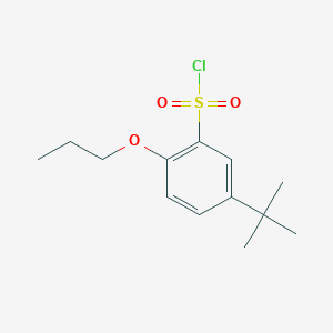 5-(tert-Butyl)-2-propoxybenzene-1-sulfonyl chloride