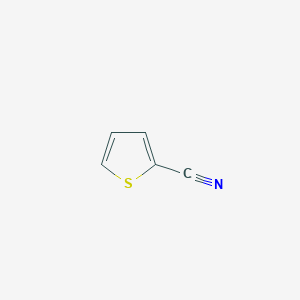 molecular formula C5H3NS B031525 Thiophene-2-carbonitrile CAS No. 1003-31-2