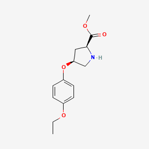 molecular formula C14H19NO4 B3154328 Methyl (2S,4S)-4-(4-ethoxyphenoxy)-2-pyrrolidinecarboxylate CAS No. 774235-68-6