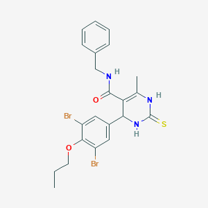 molecular formula C22H23Br2N3O2S B315711 N~5~-BENZYL-4-(3,5-DIBROMO-4-PROPOXYPHENYL)-6-METHYL-2-THIOXO-1,2,3,4-TETRAHYDRO-5-PYRIMIDINECARBOXAMIDE 