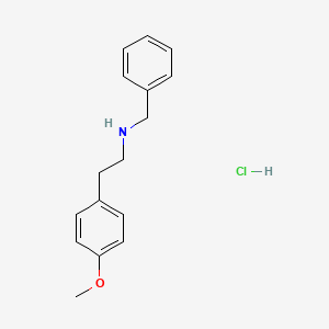 molecular formula C16H20ClNO B3158073 Benzyl[2-(4-methoxyphenyl)ethyl]amine hydrochloride CAS No. 855383-29-8