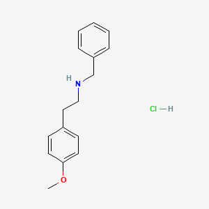 molecular formula C16H20ClNO B3158073 N-benzyl-2-(4-methoxyphenyl)ethanamine hydrochloride CAS No. 855383-29-8