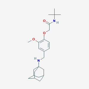 molecular formula C24H36N2O3 B315824 2-(4-{[(ADAMANTAN-1-YL)AMINO]METHYL}-2-METHOXYPHENOXY)-N-TERT-BUTYLACETAMIDE 