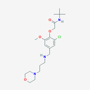 molecular formula C21H34ClN3O4 B315838 N-TERT-BUTYL-2-[2-CHLORO-6-METHOXY-4-({[3-(MORPHOLIN-4-YL)PROPYL]AMINO}METHYL)PHENOXY]ACETAMIDE 
